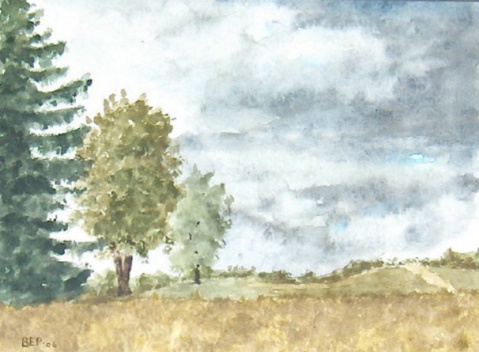 Wilcox Pass